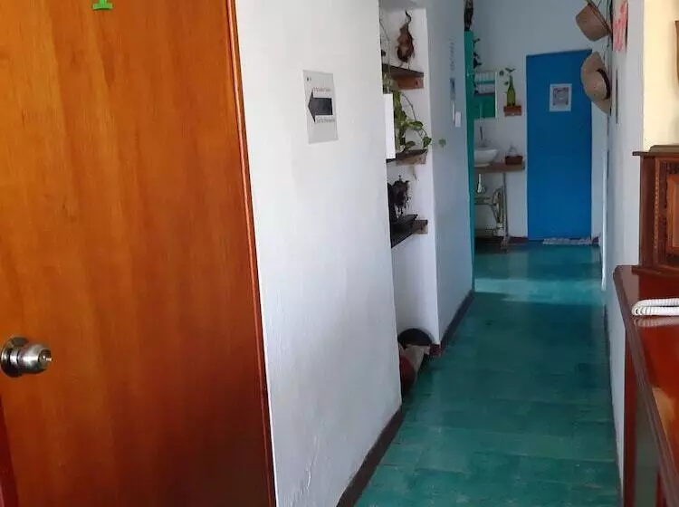 ユースホステル Hostal Guacamayas