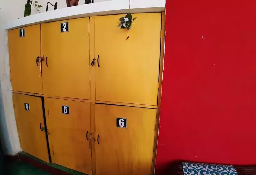 ユースホステル Hostal Guacamayas