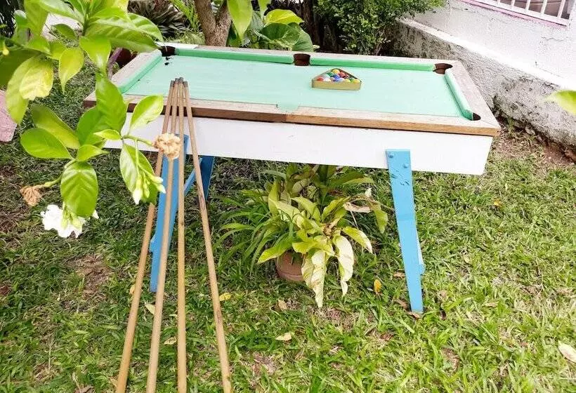 ユースホステル Hostal Guacamayas