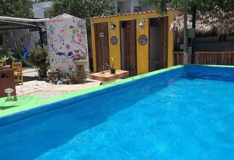 ユースホステル Hostal Guacamayas