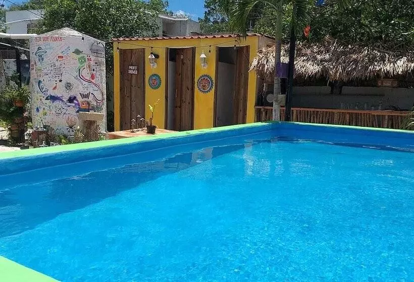ユースホステル Hostal Guacamayas