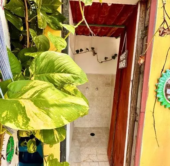 ユースホステル Hostal Guacamayas