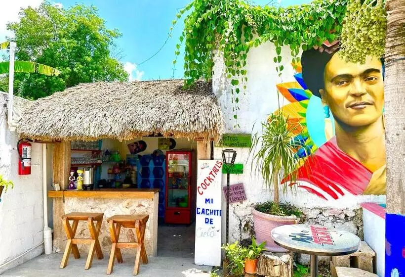 ユースホステル Hostal Guacamayas