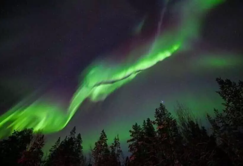 Wilderness Hotel Nangu & Igloos