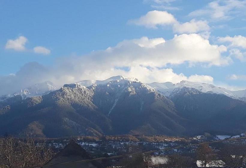 پانسیون Elder Villa