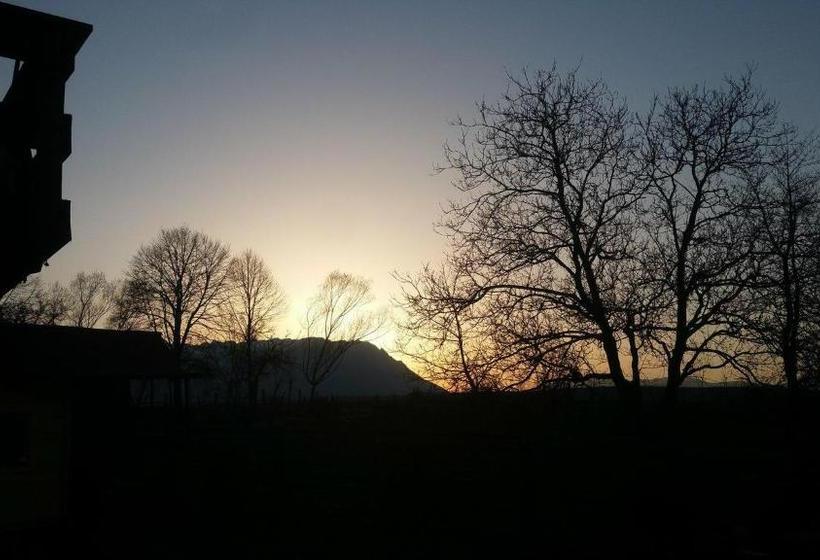 پانسیون Elder Villa