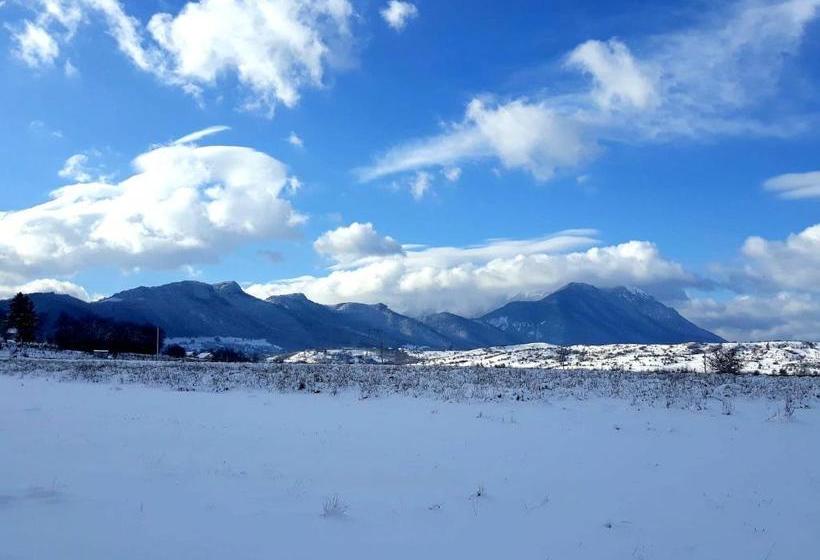 پانسیون Elder Villa