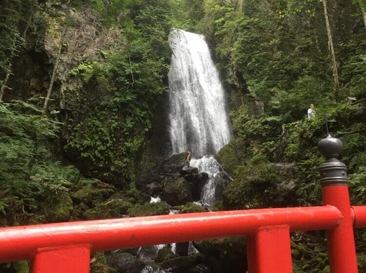 Pansiyon Onsen Yasumori