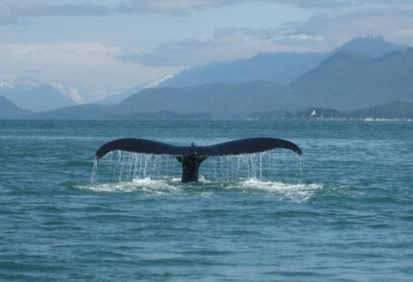 Alaska Chalet Bed & Breakfast