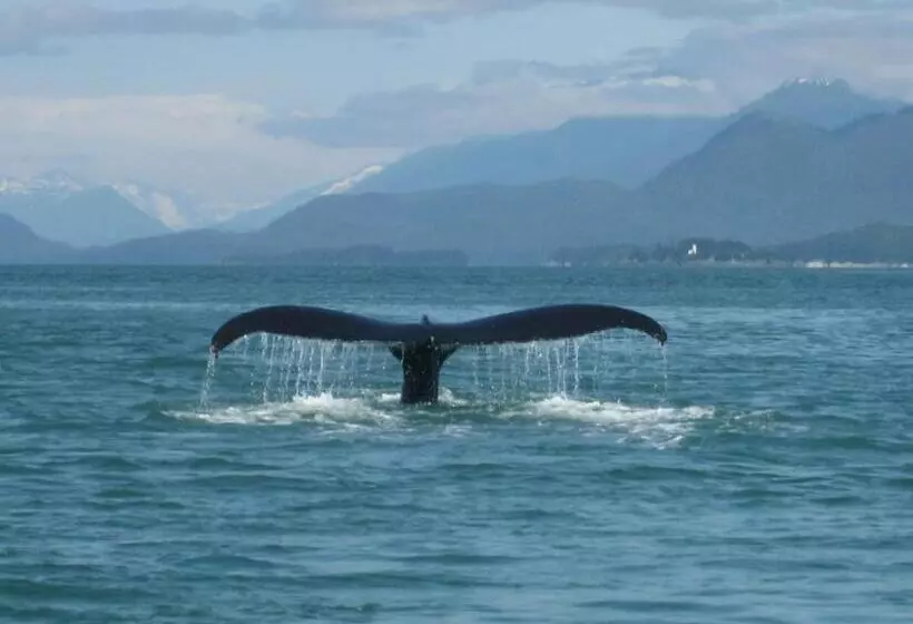 Alaska Chalet Bed & Breakfast