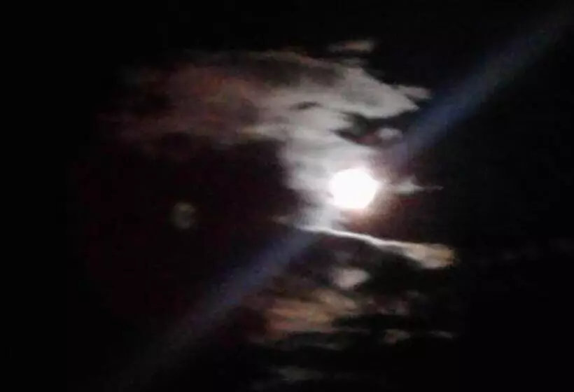 Alaska Chalet Bed & Breakfast