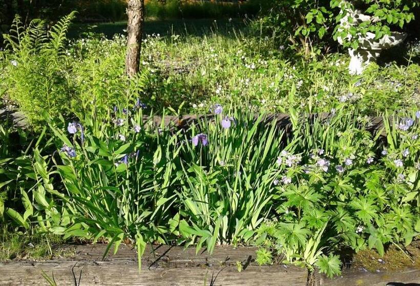 Alaska Chalet Bed & Breakfast