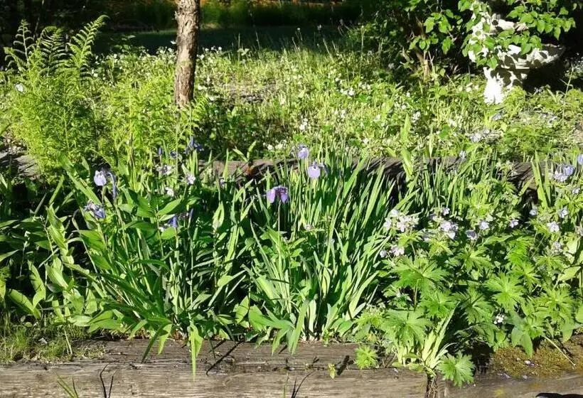 Alaska Chalet Bed & Breakfast