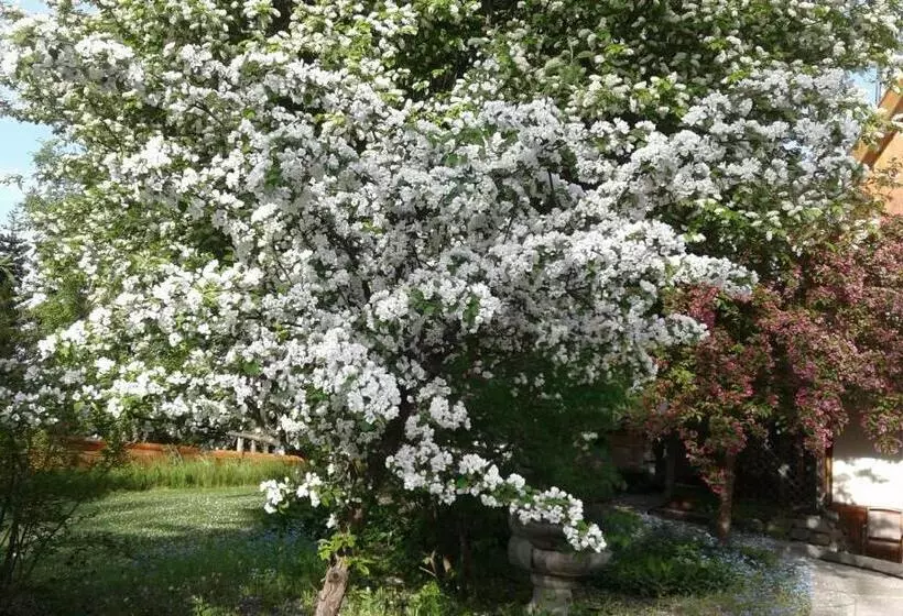 Alaska Chalet Bed & Breakfast