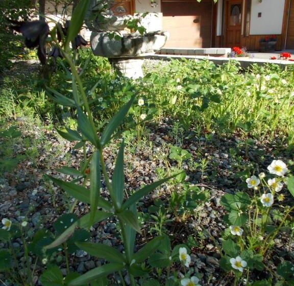 Alaska Chalet Bed & Breakfast