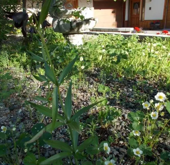 Alaska Chalet Bed & Breakfast