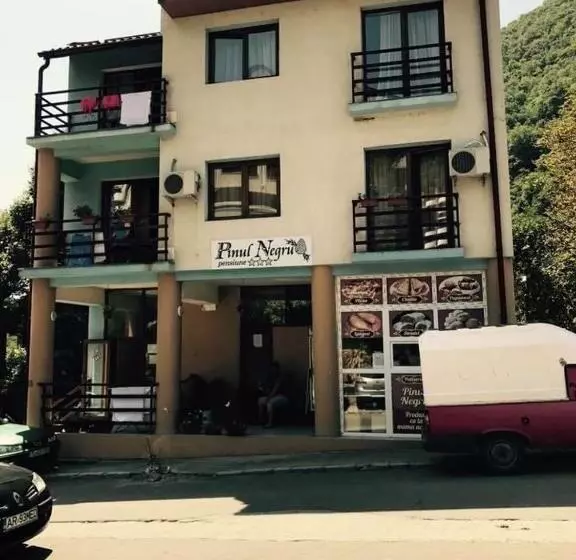 ペンション Pinul Negru 2