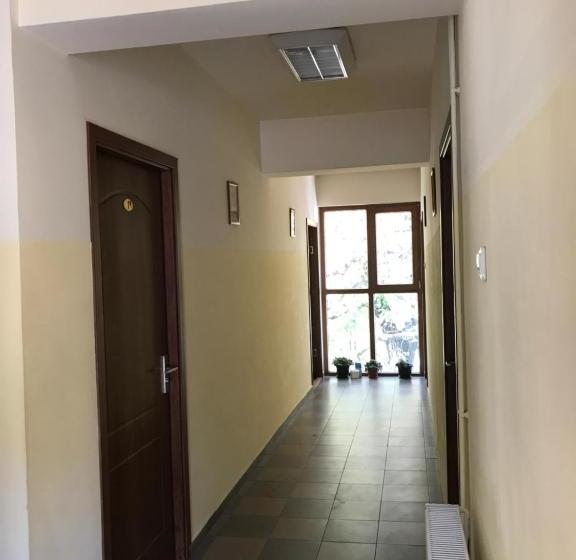 Pensjonat Pinul Negru 2