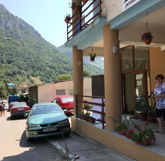 Pensjonat Pinul Negru 2