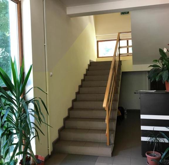 Pensjonat Pinul Negru 2