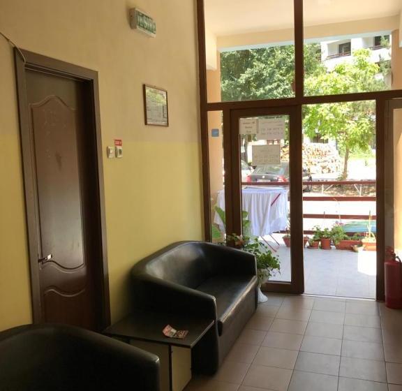 Pensjonat Pinul Negru 2