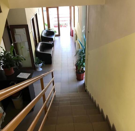 Pensjonat Pinul Negru 2