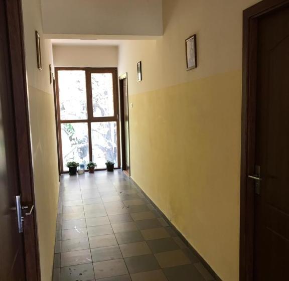 Pensjonat Pinul Negru 2