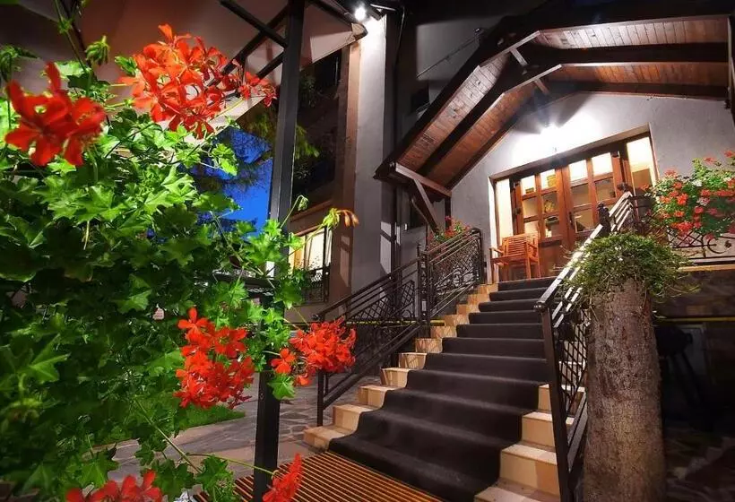 ペンション Vila Moldavia Class