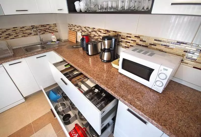 ペンション Vila Moldavia Class