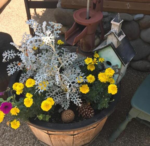 مبيت وإفطار Fireside Lodge