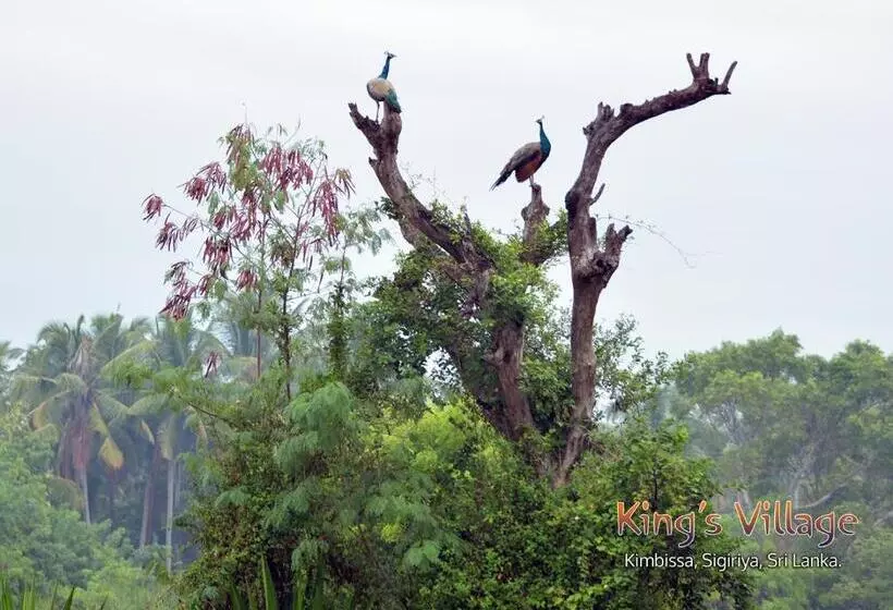 Retkeilymaja Kings Village Sigiriya