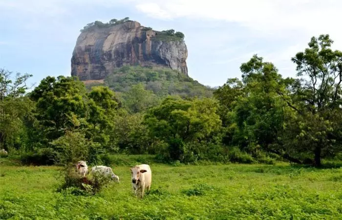Retkeilymaja Kings Village Sigiriya