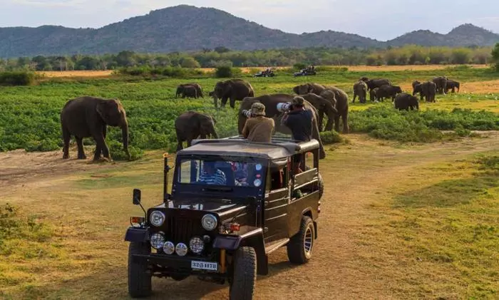 Retkeilymaja Kings Village Sigiriya