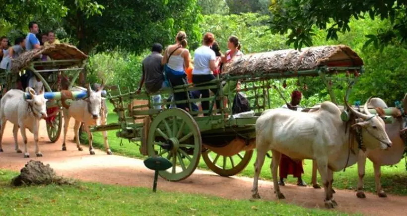 Retkeilymaja Kings Village Sigiriya