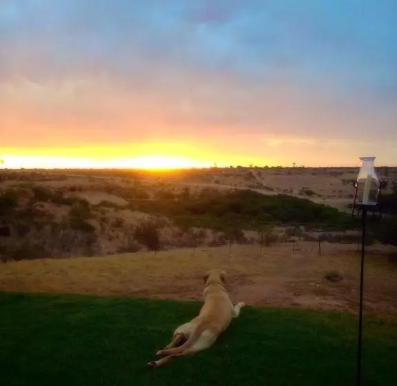 پانسیون Kamelruhe Guest House & Camping