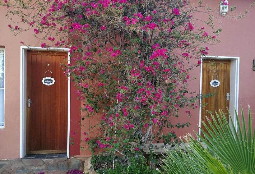 پانسیون Kamelruhe Guest House & Camping