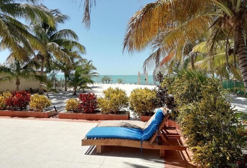 膳宿费 Castillito Kin Nah