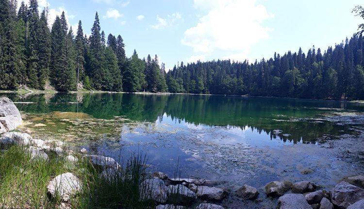 پانسیون Guesthouse Stanišić