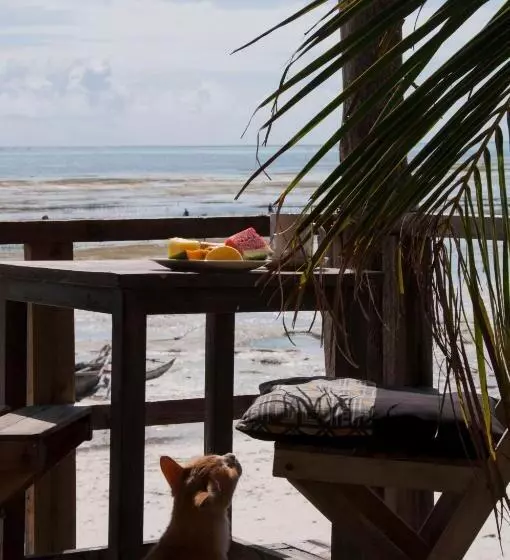 ペンション Mango Beach House