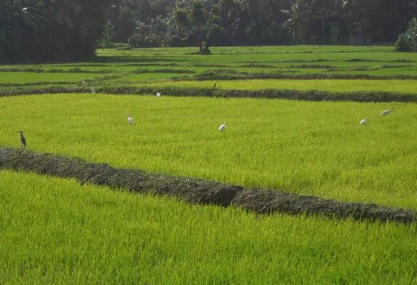 Majatalo Risenlak Holiday Resort