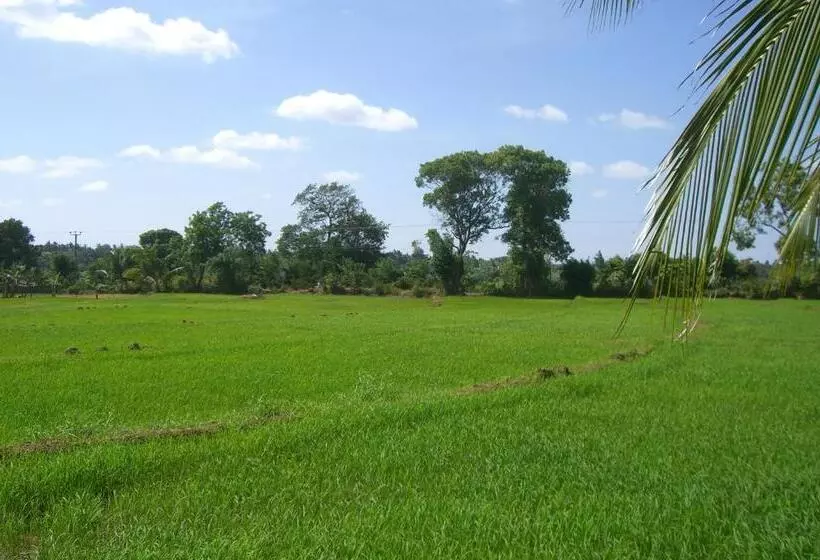 Majatalo Risenlak Holiday Resort