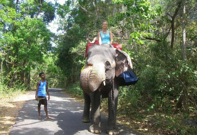 ペンション Risenlak Holiday Resort