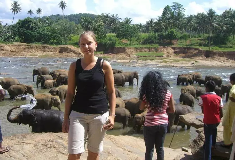 Majatalo Risenlak Holiday Resort