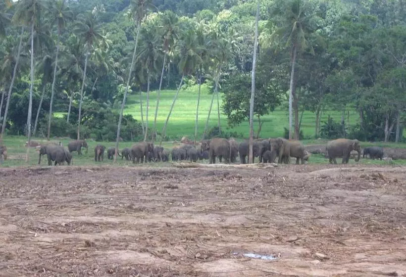 Majatalo Risenlak Holiday Resort