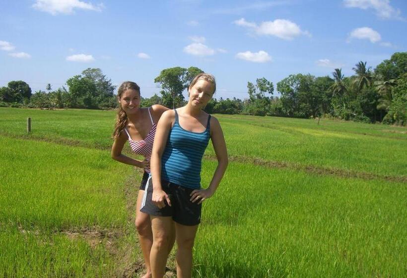 ペンション Risenlak Holiday Resort