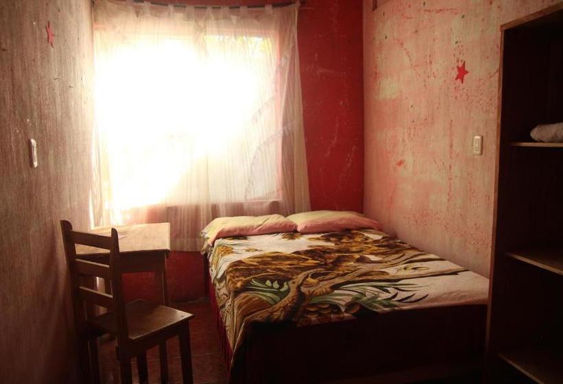 هاستل Posada Mana