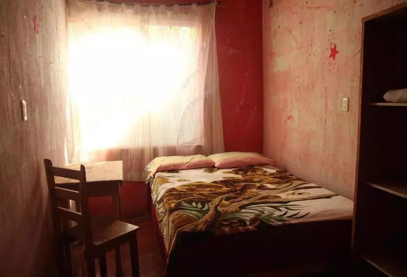 هاستل Posada Mana