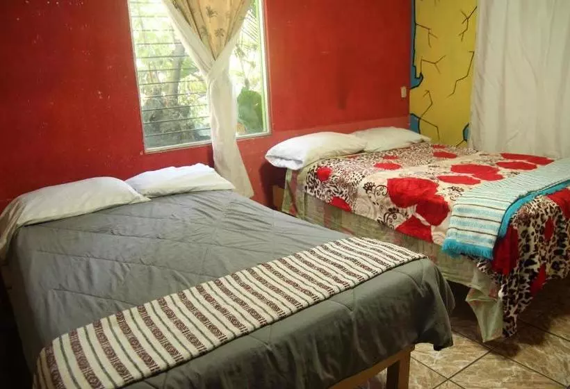 هاستل Posada Mana