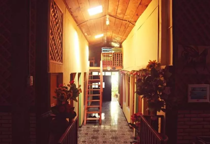 هاستل Posada Mana