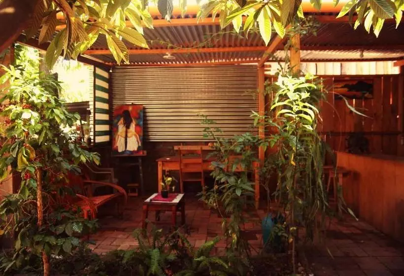 هاستل Posada Mana